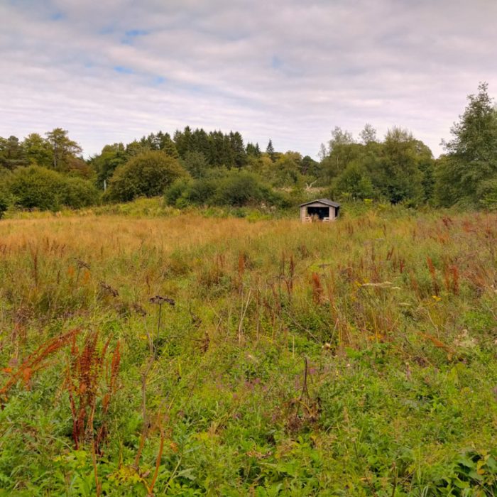 We have a big estate with wildlife and spaces to explore.