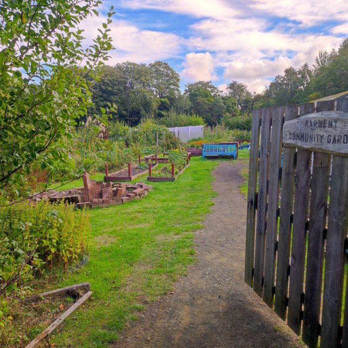 Fruit and vegetables are grown in the community garden. Volunteers and young people maintain it all year around.